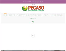 Tablet Screenshot of pegaso.eu
